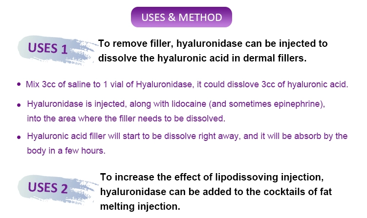 Korea Liporase Dissolves HA Dermal Filler Liporase Injection Hyaluronidase