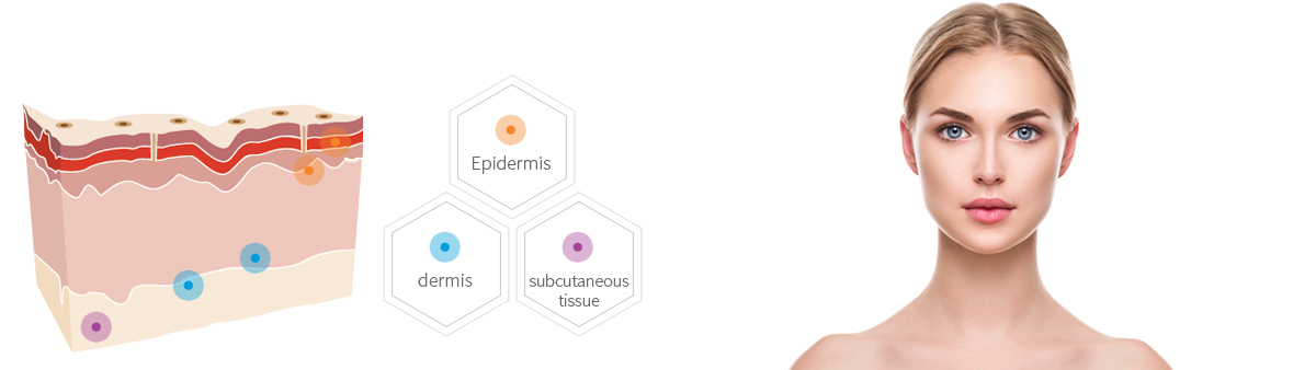 Korea Revolax Injectable Hyaluronic Acid Dermal Filler 1.1 Ml Sub - Q To Removing Deep Wrinkles