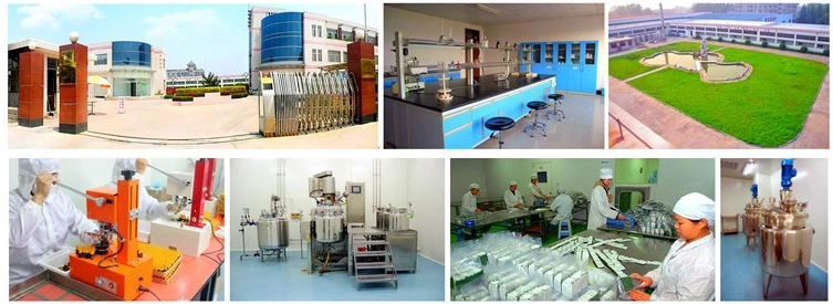 Fosyderm 20 Ml Subskin Hyaluronic Acid Dermal Filler For Breast And Buttocks Enlargement