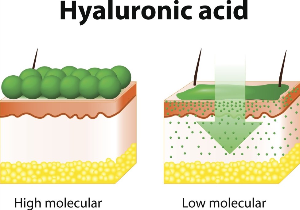 Mesotherapy Solution 5 Ml 18 AA+ Hyaluronic Acid Make The Skin Look Younger